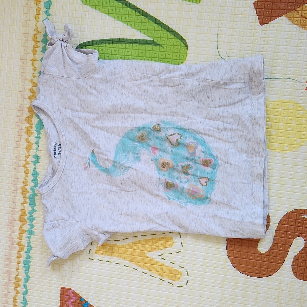 3t Carters peacock short sleeve top